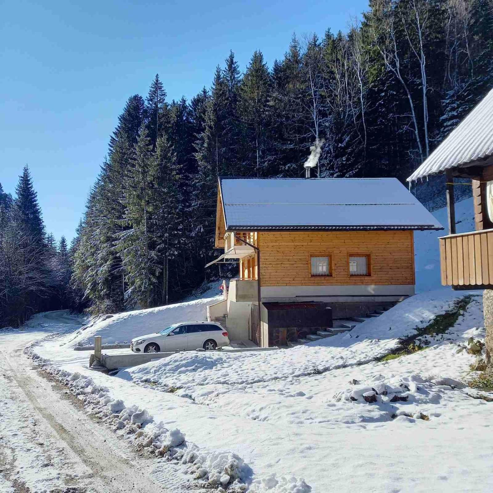 Hisa Lunna - Apartments In A Forest Paradise Vitanje Exteriör bild